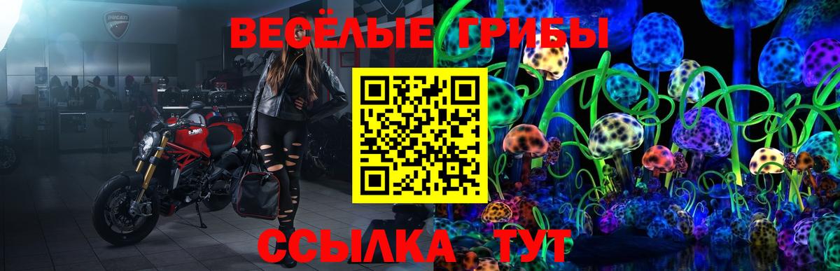 Псилоцибиновые грибы ЛСД  наркотики  Вход с VPN  Камень-на-Оби  Псилоцибиновые грибы Magic Shrooms 