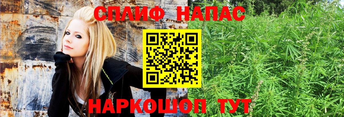 Конопля Amnesia  Канабис OG Kush  Вход с VPN  Камень-на-Оби  Шишки марихуана сатива  Марихуана Amnesia 